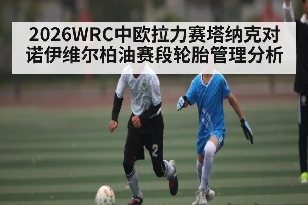 2026WRC中欧拉力赛塔纳克对诺伊维尔柏油赛段轮胎管理分析